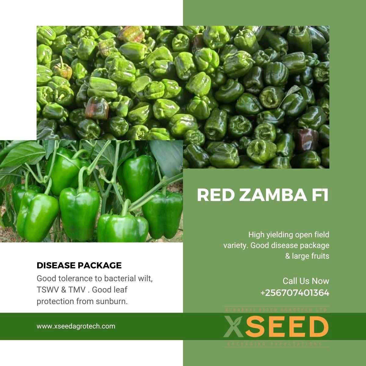 green pepper fresh and clean for sale in Kampala - Yilick