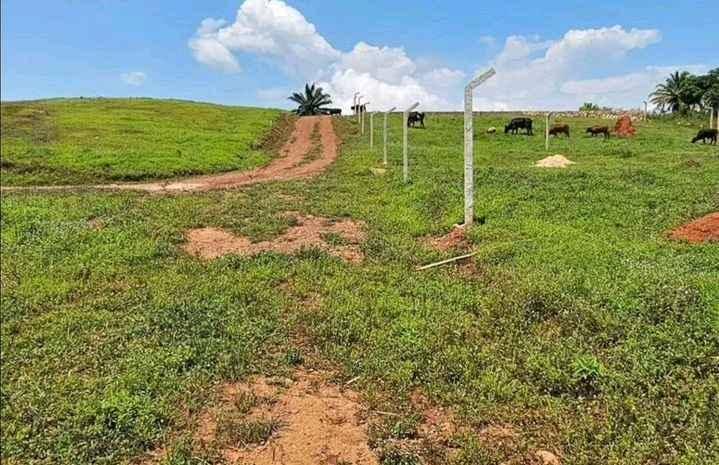 50*100ft PLOTS FOR SALE WITH  VERIFIED  TITLE IN NAMUSERA for sale in Wakiso - Yilick