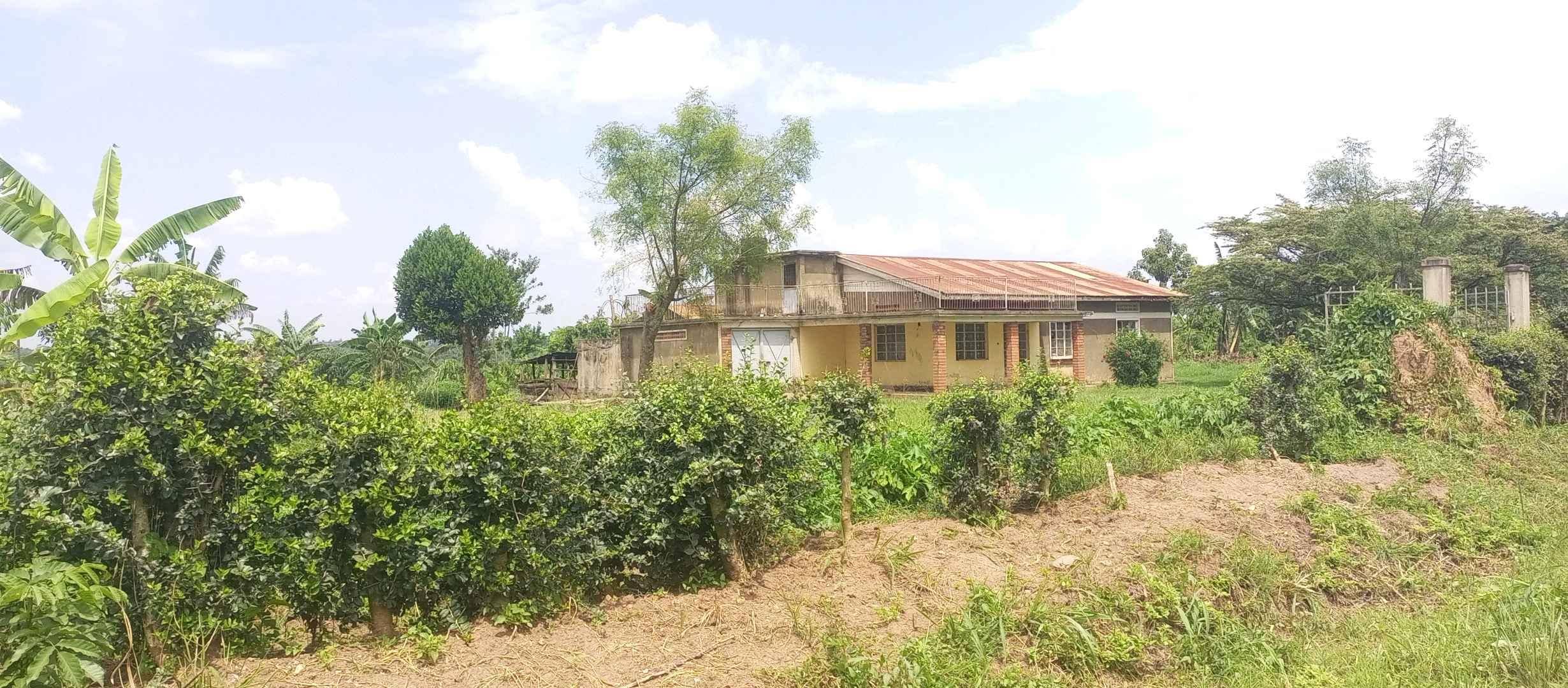 15Acres of land on sale 70 millions per Acre for sale in Wakiso - Yilick