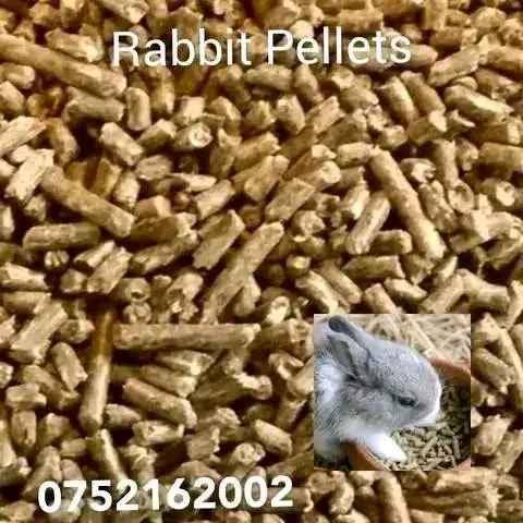 Rabbit pellets and Food fortified for sale in Kampala - Yilick