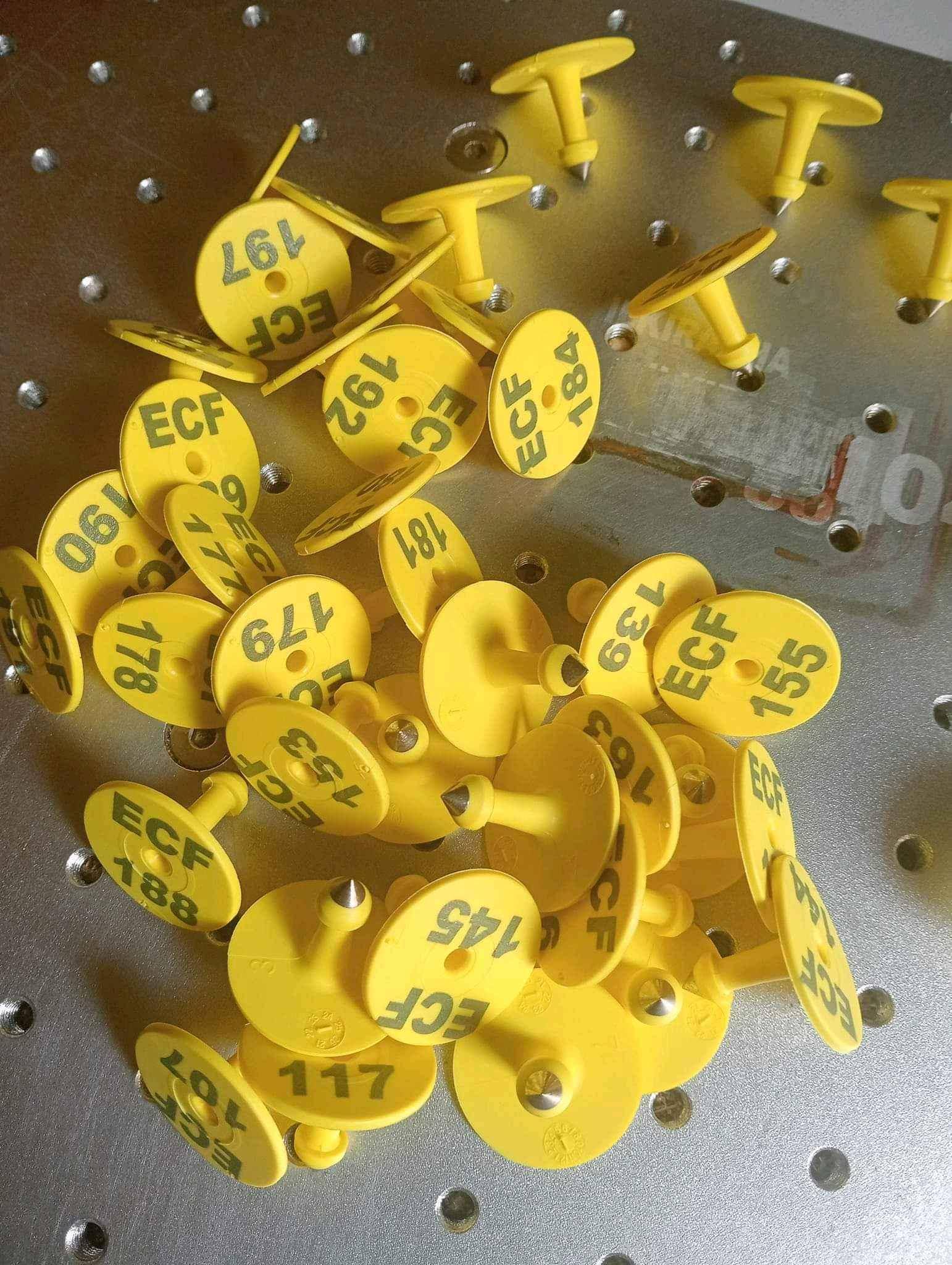 Animal ear tags for sale in Wakiso - Yilick