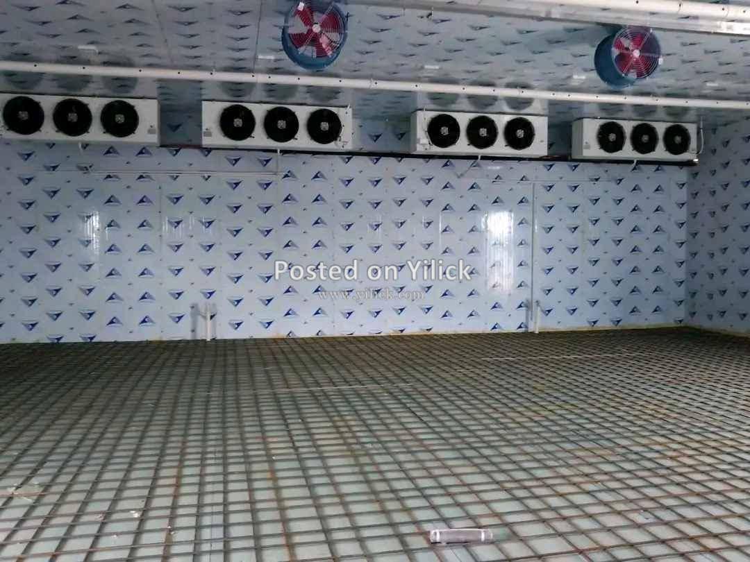 COLD ROOM AND CHILLER SERVICES for sale in Kampala - Yilick