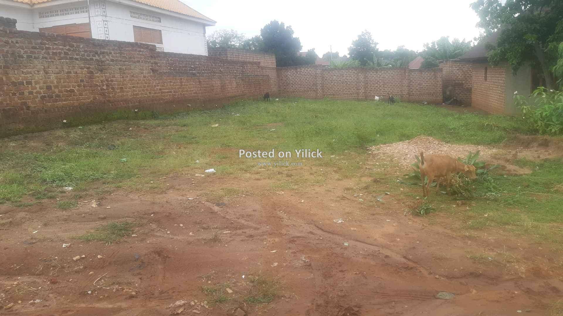 plot in buwambo for sale 50*100 for sale in Wakiso - Yilick