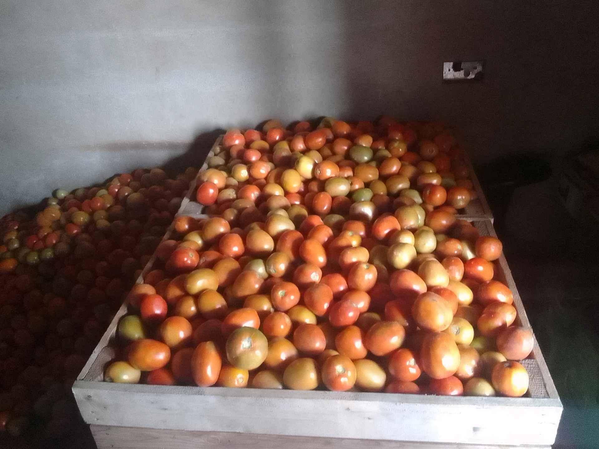 FARM WORKERS/MANAGER  for sale in Luwero - Yilick