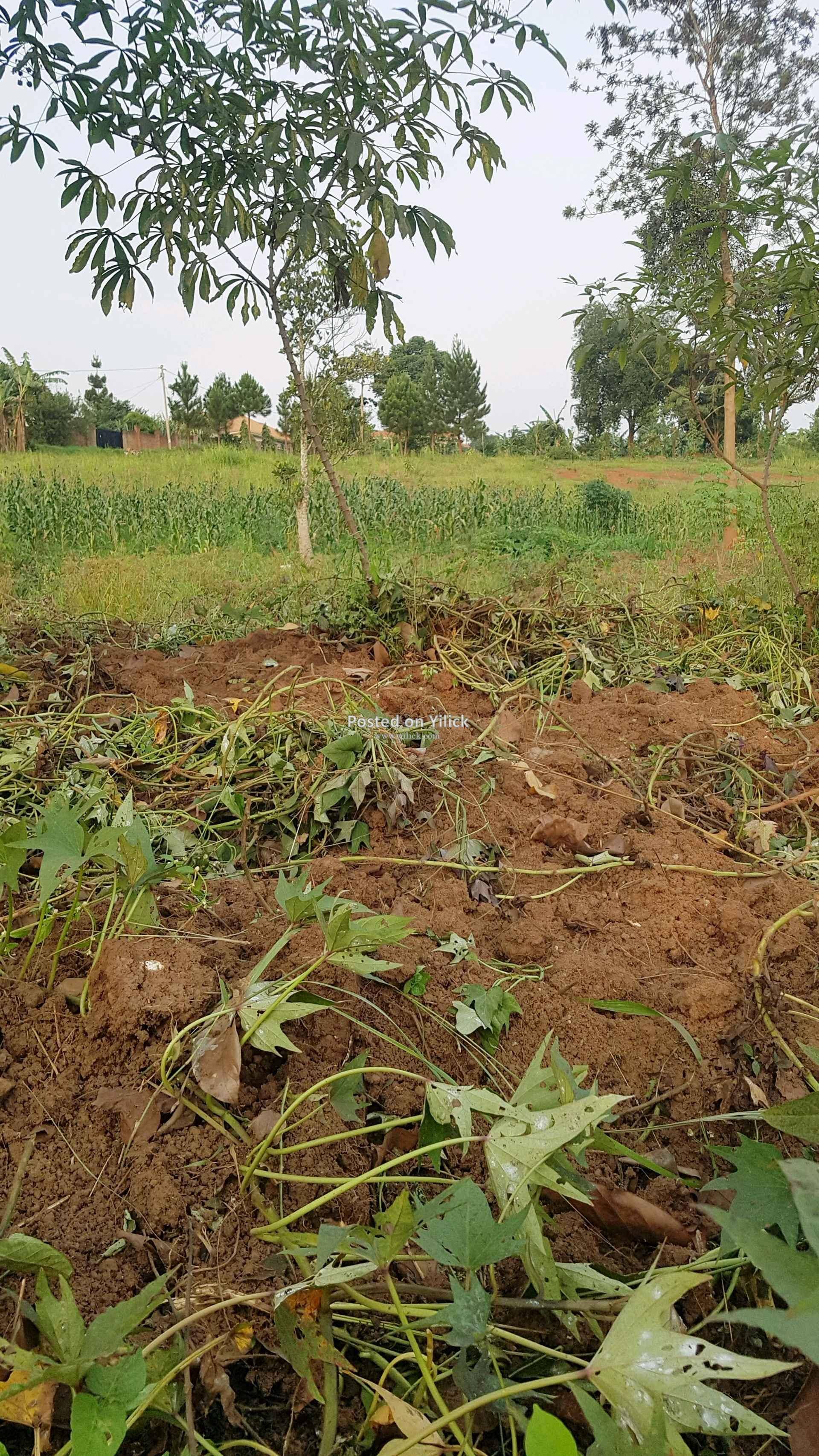 7.4 Acres of Land for sale in Namugongo Sonde  for sale in Kampala - Yilick