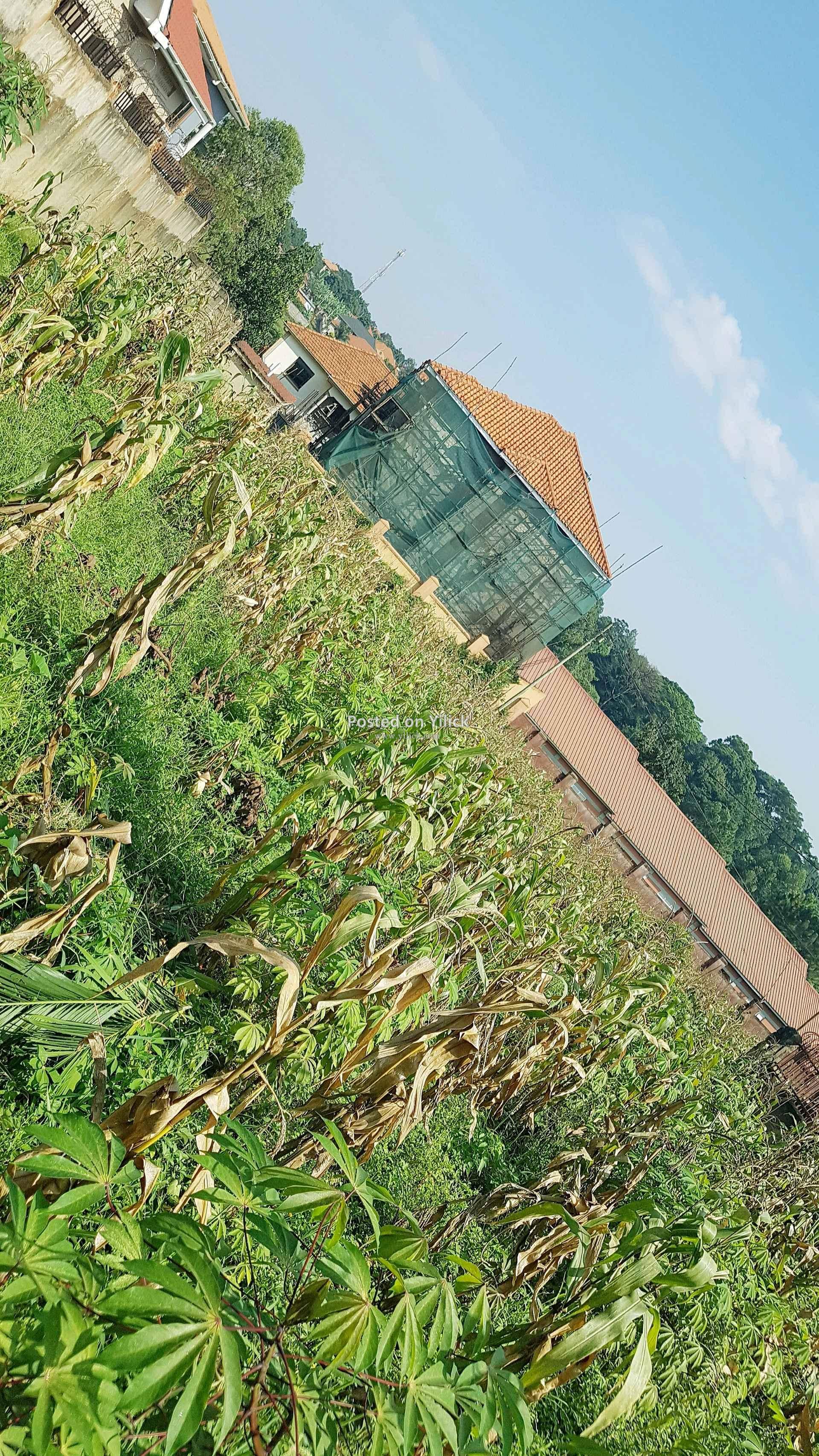 38 decimals of land for sale in Namugongo  for sale in Kampala - Yilick