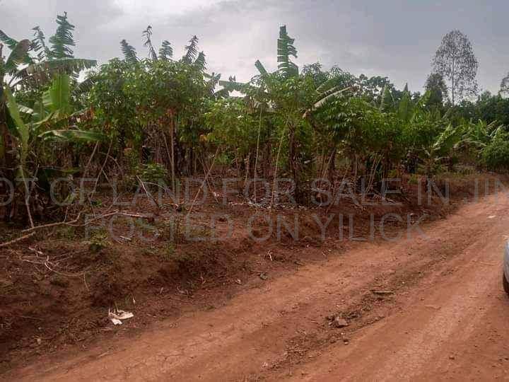 titled Land private mile land 100x50ft Jinja nile breweries  for sale in Jinja - Yilick