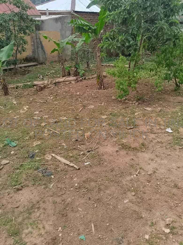titled Land private mile land 100x50ft Jinja ku nile breweri for sale in Jinja - Yilick