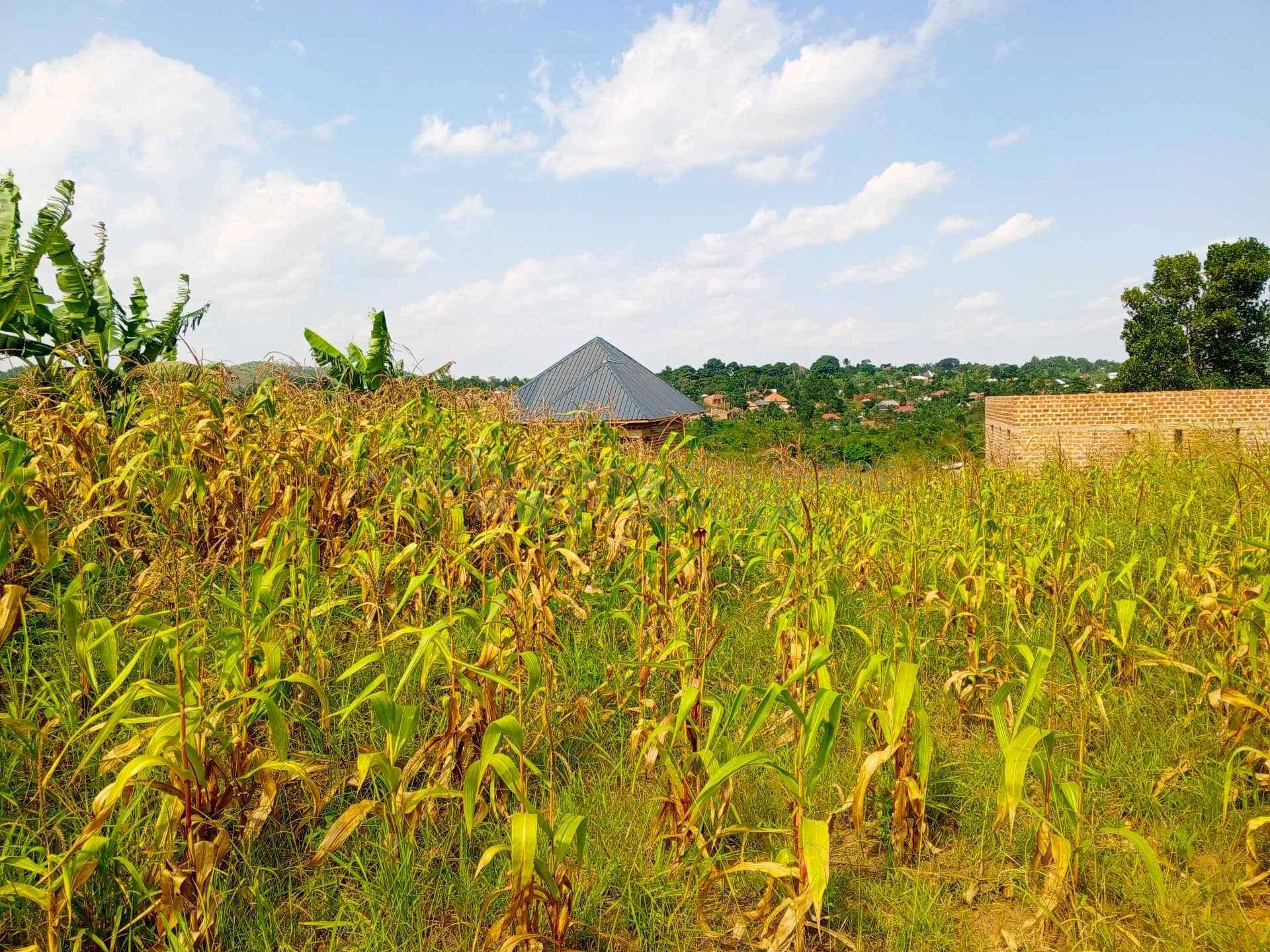 50 x 100 Plot for sale kakiri  for sale in Wakiso - Yilick