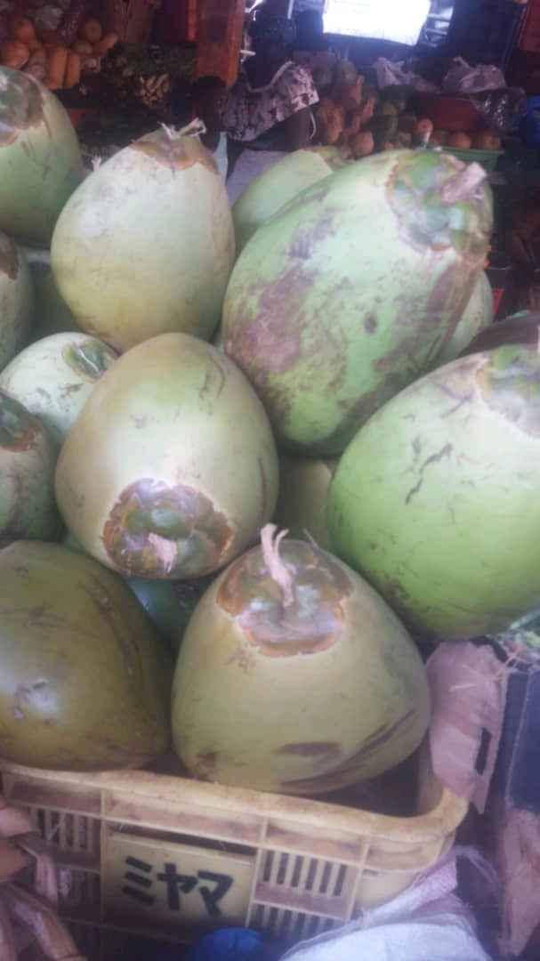 Coconuts fresh from Mombasa  for sale in Kampala - Yilick