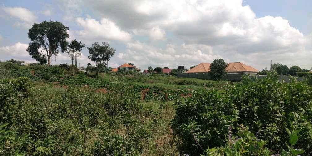 Plots for Sale in Namugongo Misindye for sale in Kampala - Yilick