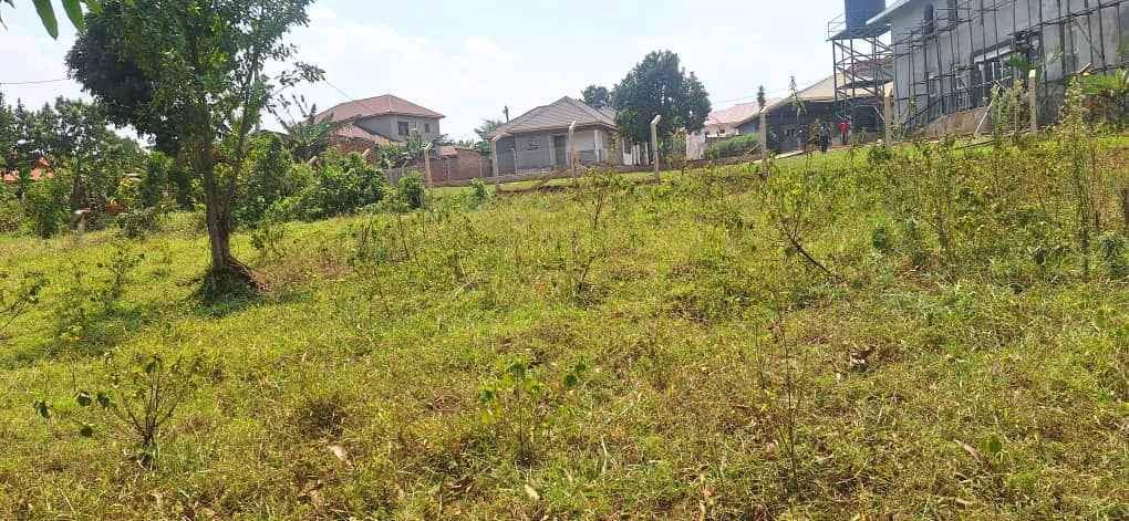 Affordable plots up For Sale for sale in Mukono - Yilick
