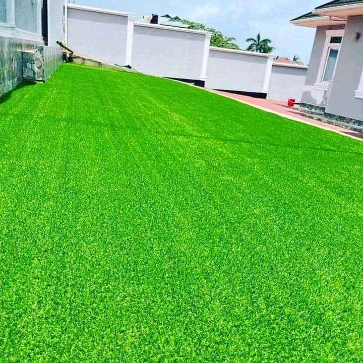 Grass Carpets 45000 per square meter  for sale in Kampala - Yilick