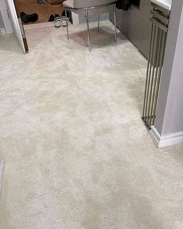 WOOLEN CARPET WALL TO WALL SOFT 95000 PER SQUARE METER  for sale in Kampala - Yilick