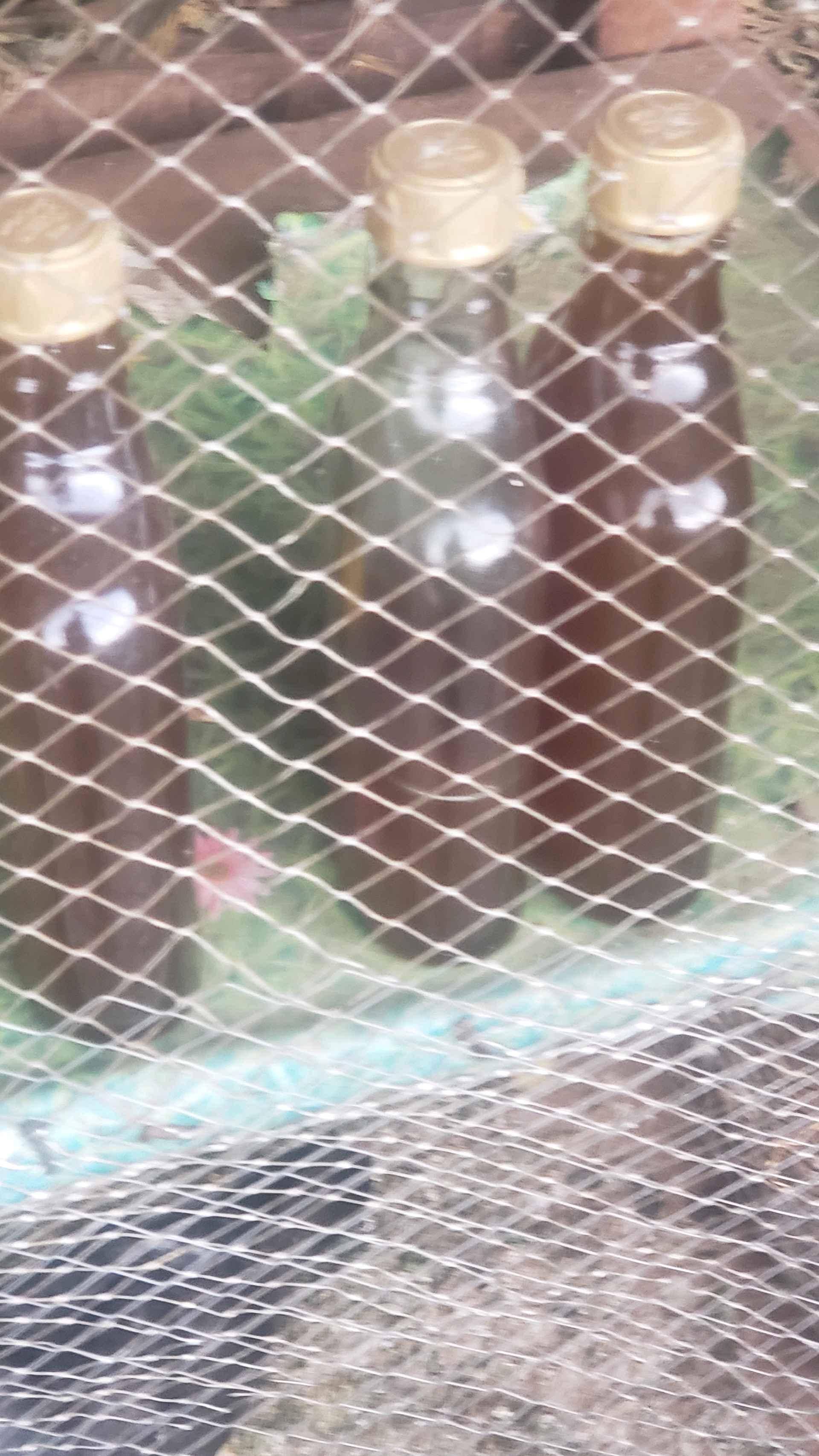 Pure honey available for sale in Kampala - Yilick